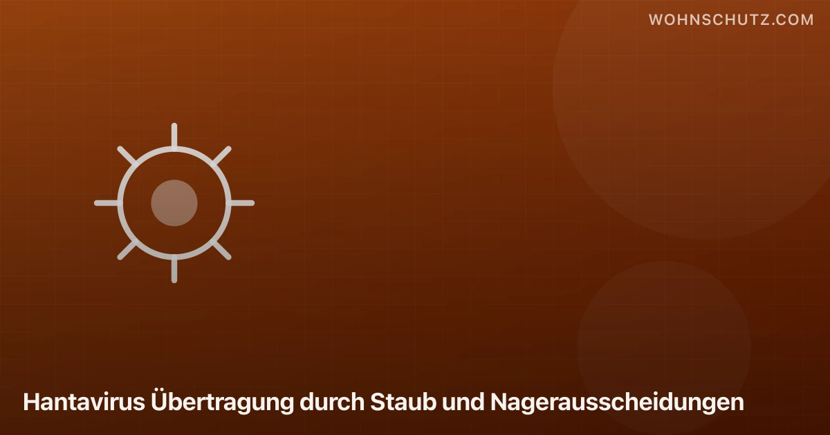 Hantavirus Übertragung durch Staub und Nagerausscheidungen
