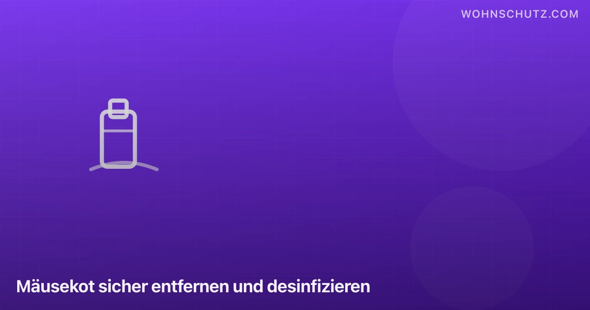Mäusekot sicher entfernen – Schritt-für-Schritt Anleitung