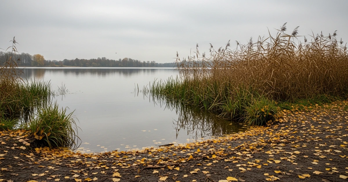 Herbstlicher Badesee in Deutschland – Stechfliegen Risikoort im September