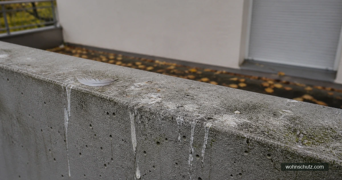 Mit Taubenkot verschmutzte Balkonbrüstung aus Beton vor der Reinigung